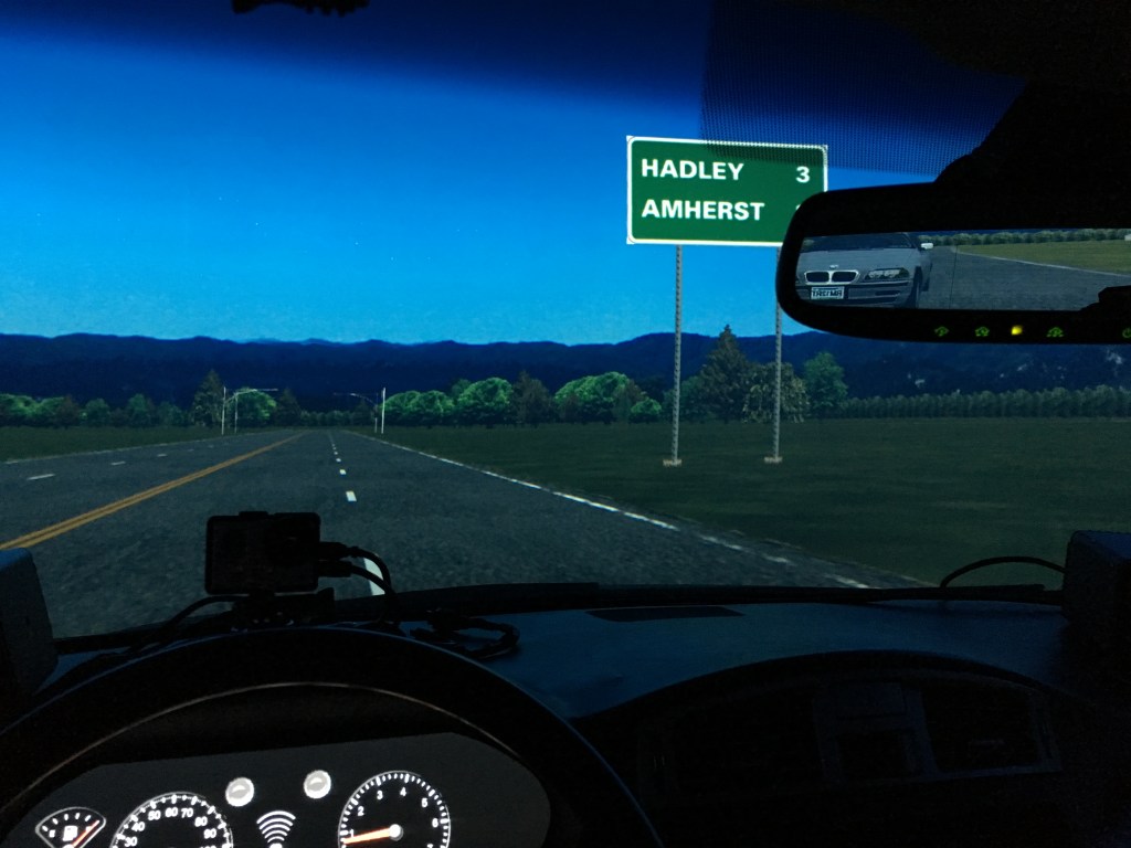Simulator Driver's View